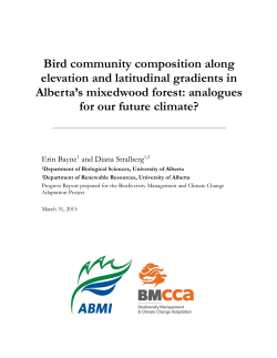 Bird community composition along elevation and latitudinal