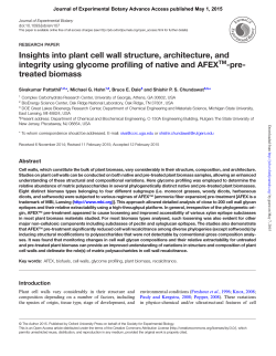 Insights into plant cell wall structure, architecture, and integrity using