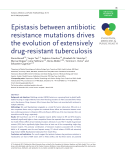Epistasis between antibiotic resistance mutations drives the