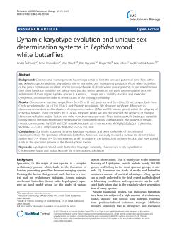 Dynamic karyotype evolution and unique sex determination systems