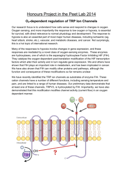 Projects- Molecular Components of Cellular Oxygen Sensing and