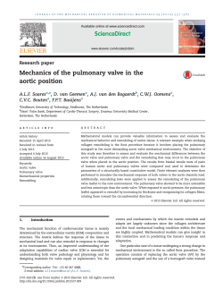 Mechanics of the pulmonary valve in the aortic position