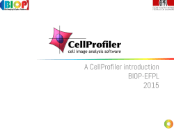 Image Processing with Cell Profiler