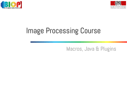 Java Plugins
