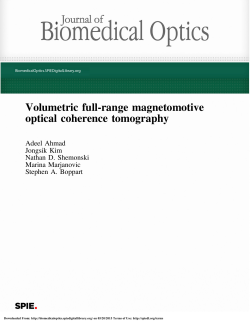 Volumetric full-range magnetomotive optical coherence tomography