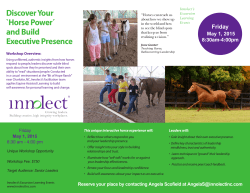 Discover Your `Horse PowerÂ´ and Build Executive Presence