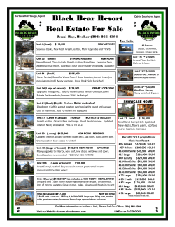 Black Bear Sales Sheet March 16, 2015