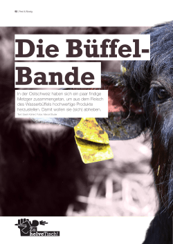 (Wasser-)BÃ¼ffel-Bande_Salz & Pfeffer Nr. 3 â Mai_Juni 2015