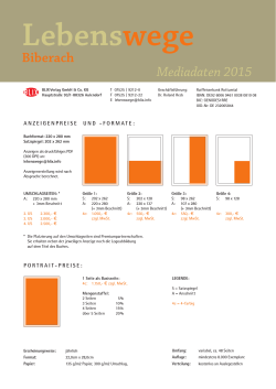 Biberach Mediadaten 2015