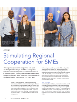 Stimulating Regional Cooperation for SMEs