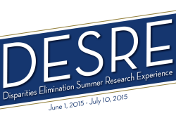 Disparities Elimination Summer Research Experience