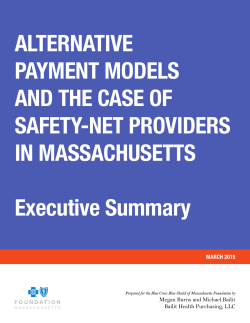 the Executive Summary: APMs and the Case of Safety