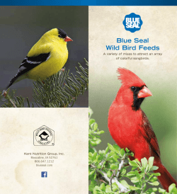 Blue Seal Wild Bird Feeds brochure