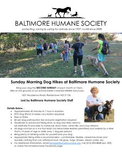Sunday Morning Dog Hike - Baltimore Humane Society