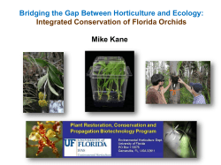 Integrated Conservation of Florida Orchids