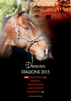STALLIONS 2015 - Bombora Downs