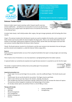 Extensor Tendon Repair - Bondi Junction Hand Therapy