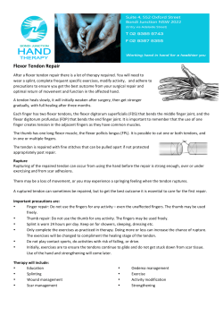 Flexor Tendon Repair - Bondi Junction Hand Therapy