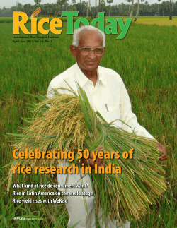 Celebrating 50 years of rice research in India - Books