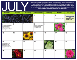 July Calendar2015
