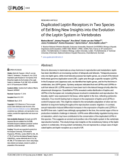 Duplicated Leptin Receptors in Two Species of Eel Bring New