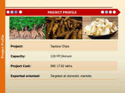 Project Profile Candidate industry â Tapioca Chips
