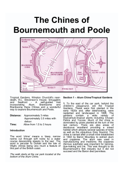 The Chines of Bournemouth and Poole