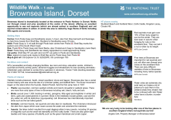Brownsea Island PDF