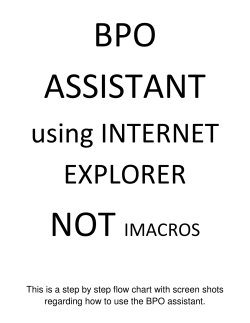 BPO ASSISTANT guide for INTERNET EXPLORER