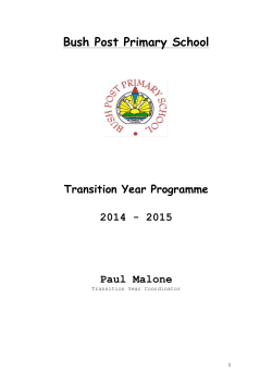 Transition Year Policy - Bush Post Primary School