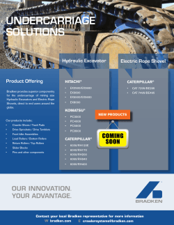Crawler Systems Offering Flyer