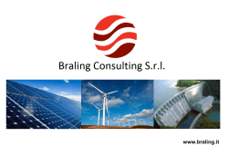 Diapositiva 1 - Braling Consulting