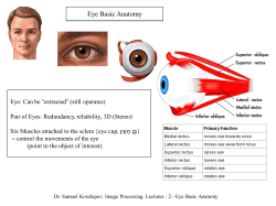 Eye Basic Anatomy - brd4.braude.ac.il