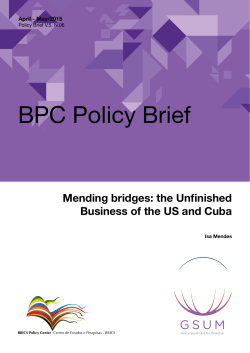 BPC Policy Brief - BRICS Policy Center