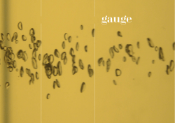 the full catalogue