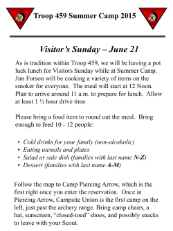 visitor`s Sunday flyer