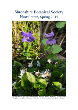 30, Spring 2015 - Botanical Society of the British Isles