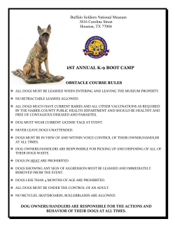 BUFFALO_SOLDIERS_k-9_BOOT_CAMP_2015_Obstacle_Rules