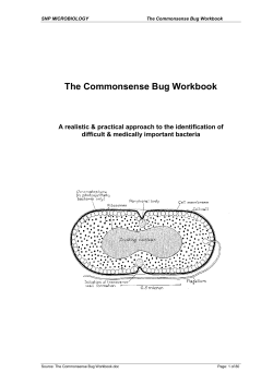 The Commonsense Bug Workbook