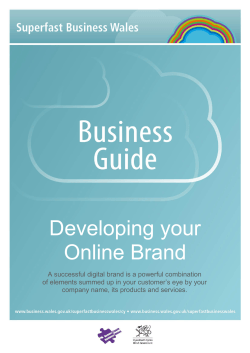 Developing your Online Brand