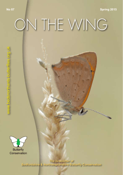 ON THE WING - Butterfly Conservation