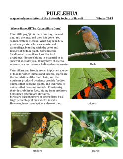 Read our latest newsletter - Butterfly Society of Hawaii