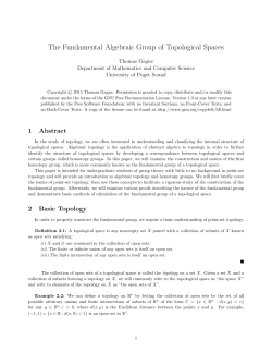The Fundamental Algebraic Group of Topological Spaces