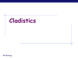 Review LAB Cladistics