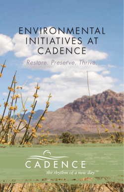 Cadence Environmental Brochure