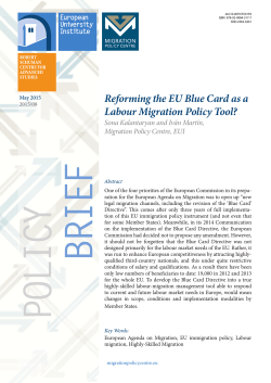 Reforming the EU Blue Card as a Labour Migration Policy