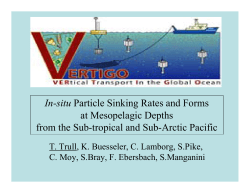 In-situ Particle Sinking Rates and Forms at