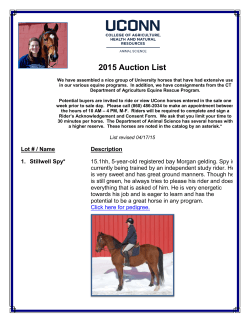 2015 Auction List