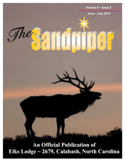 Sandpiper - Calabash Elks Lodge #2679