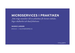 WHAT`S A MICROSERVICE?